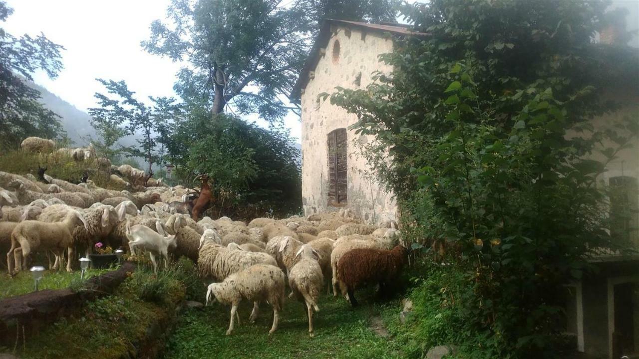 B&B L'Abric - Centro Storico Di Limonetto Limone Piemonte Buitenkant foto